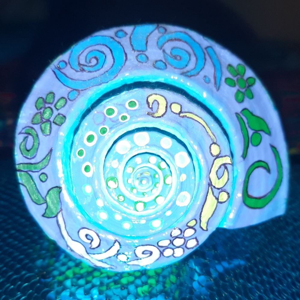 🐚🌞Hand-painted conch shell - Picture 3 of 4